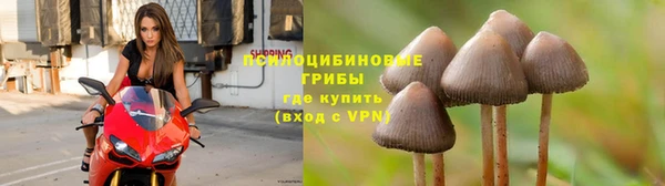 мяу мяу мука Лабытнанги