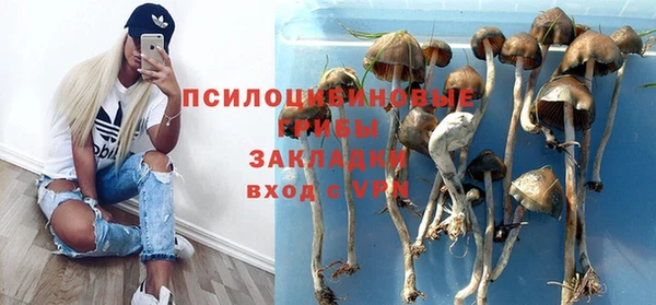 мяу мяу мука Лабытнанги