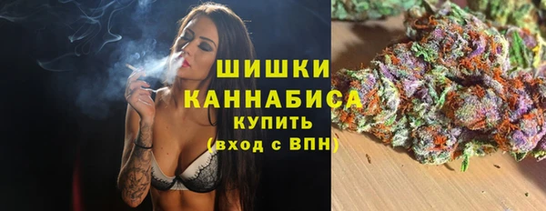дживик Магас