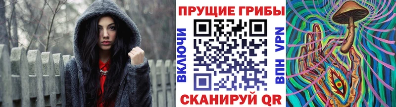 Галлюциногенные грибы Cubensis ссылка на мегу как войти Отрадная